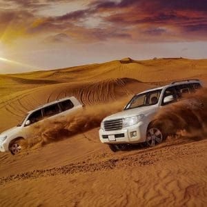 Vip Desert Safari